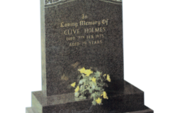 GD17